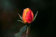 Weg mit dem Wintermantel!