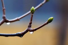 Winter oder Fr&uuml;hling?