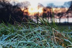 Kalte Nächte und kein Jäckchen?