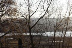 Nach der Pollensaison ist vor der Pollensaison