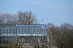 Wann Austriebsspritzung vornehmen?